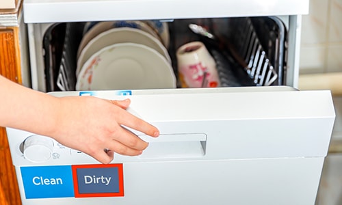 Dishwasher magnet